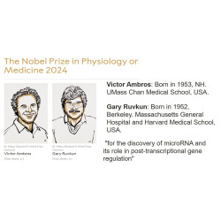 The Nobel Prize in Physiology or Medicine 2024